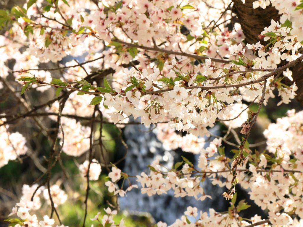Yamatoya 호텔 야마노우치 외부 사진